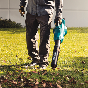 Cordless Makita