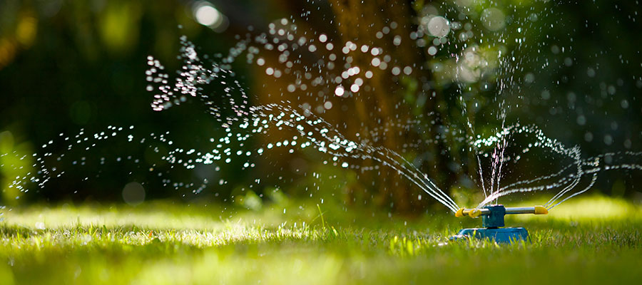 lawn sprinkler