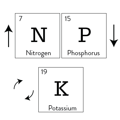 nitrogen phosphorus potassium