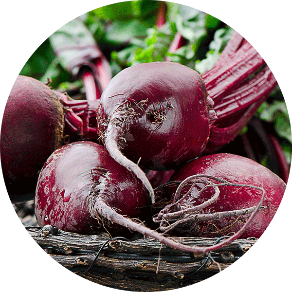 beets