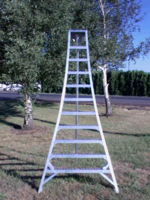 LADDER, 14' ORCHARD ALUMINUM - 1